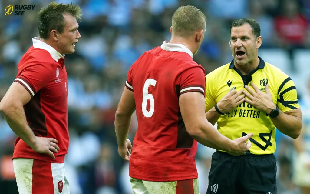 The Role of Referees and Rules