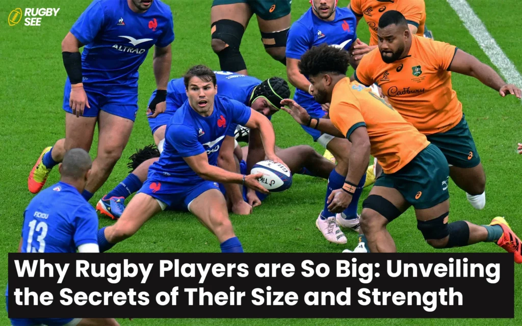 Why Rugby Players are So Big