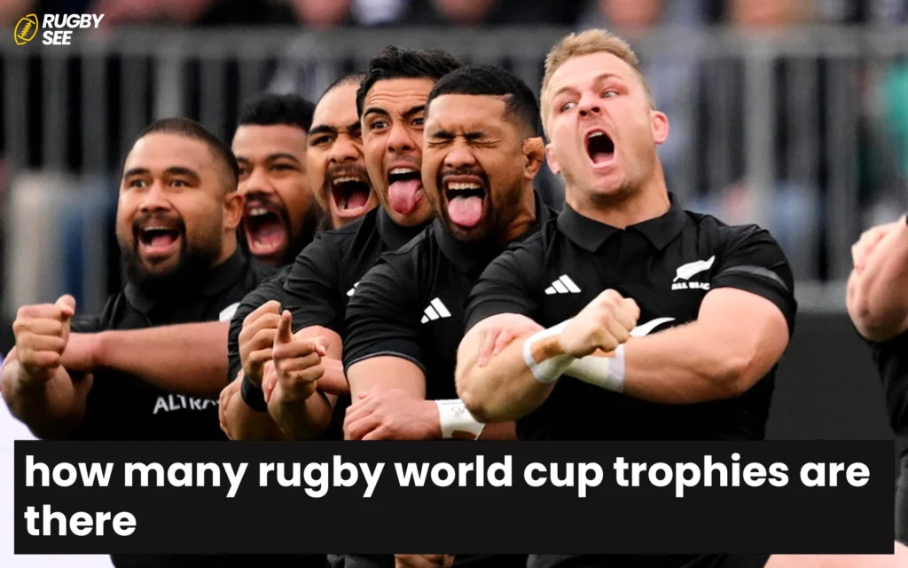 how many rugby world cup trophies are there