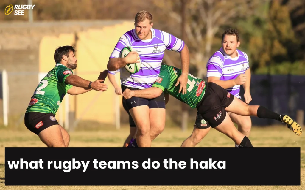 what rugby teams do the haka