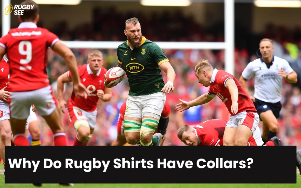 Why Do Rugby Shirts Have Collars?