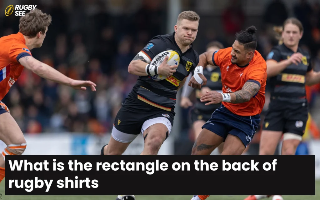 What is the rectangle on the back of rugby shirts